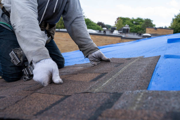Best Rubber Roofing (EPDM, TPO)  in Lisbon, ND