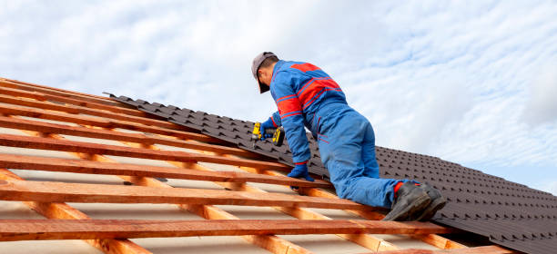 Best Gutter Replacement  in Lisbon, ND